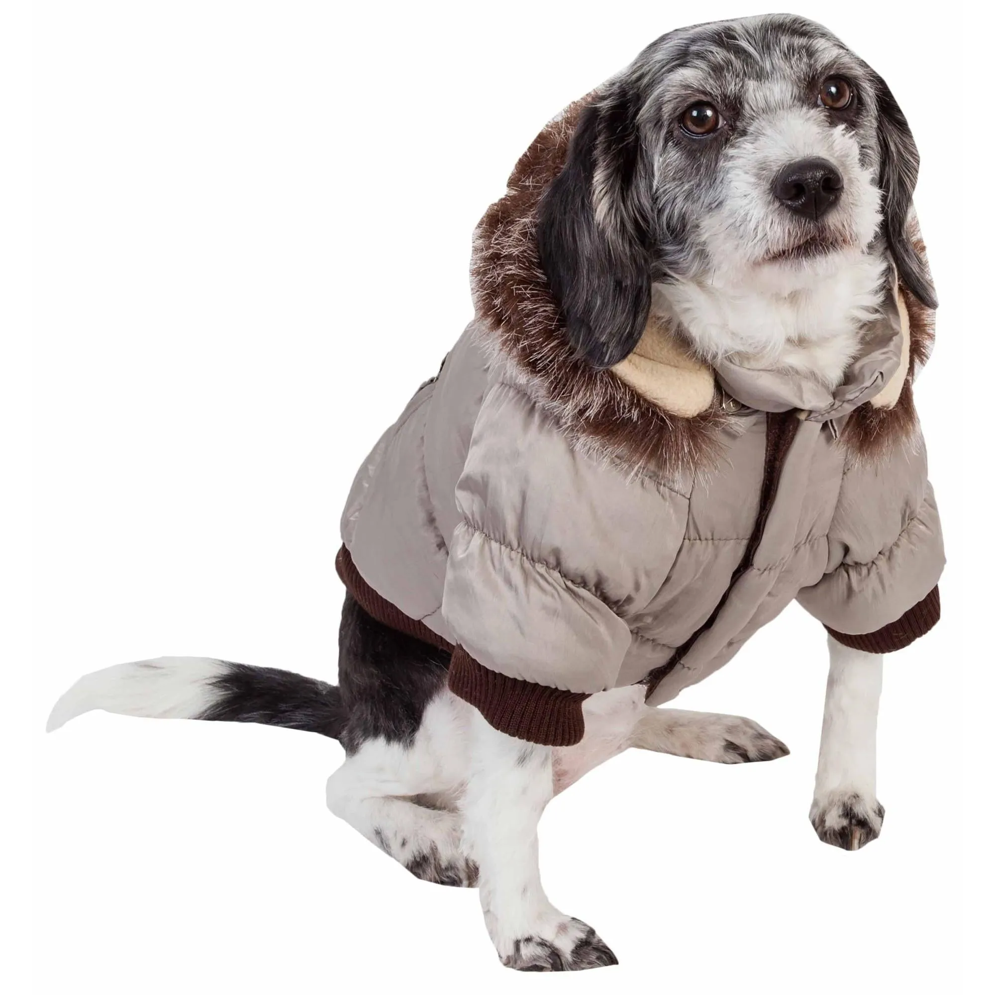 Insulated Pet Parka Coat for Dogs Fashion