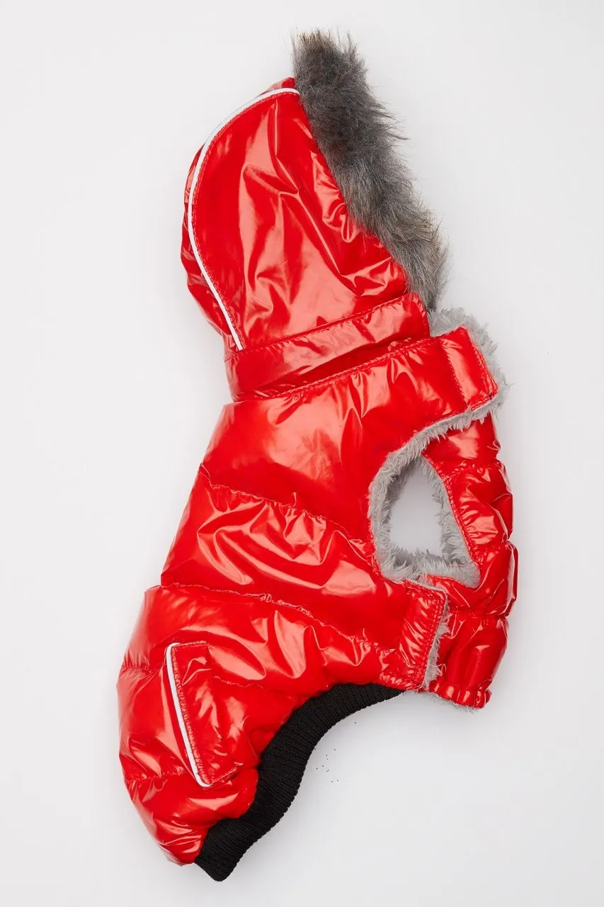 Red Winter Dog Jacket with Hood - Hip Doggie Elite Reflective Coat - Red