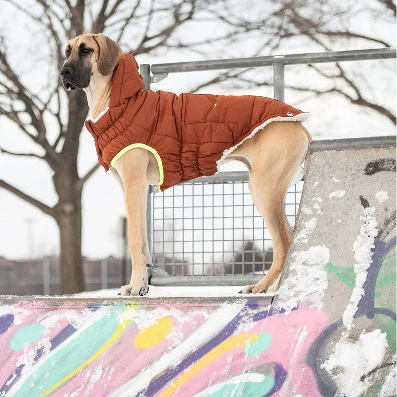 The Puff Parka - Hazel: Warmth and Style for Dogs