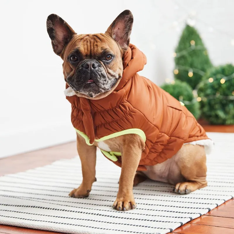 The Puff Parka - Hazel: Warmth and Style for Dogs