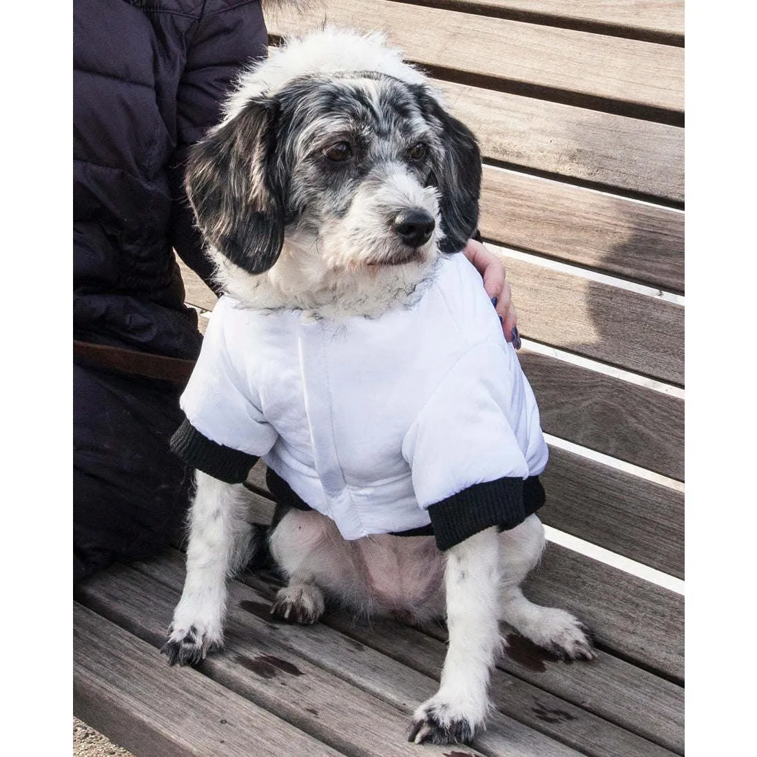 Winter pet parka coat with Thinsulate insulation and Velcro closure. Fashion